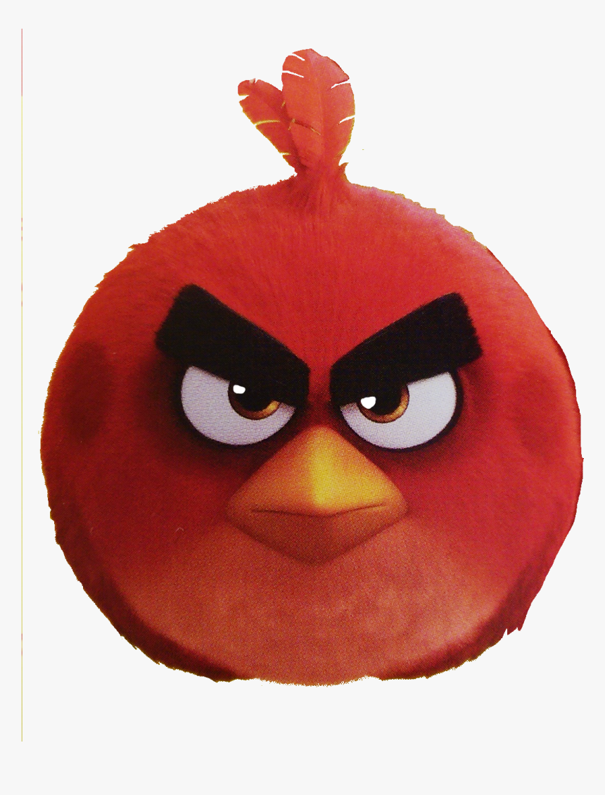 Angry Birds Wiki - Angry Birds, HD Png Download