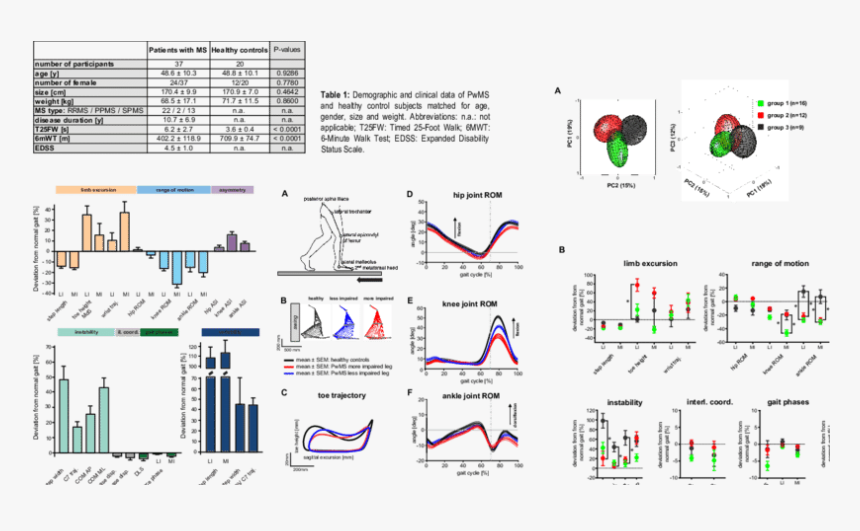 Diagram, HD Png Download