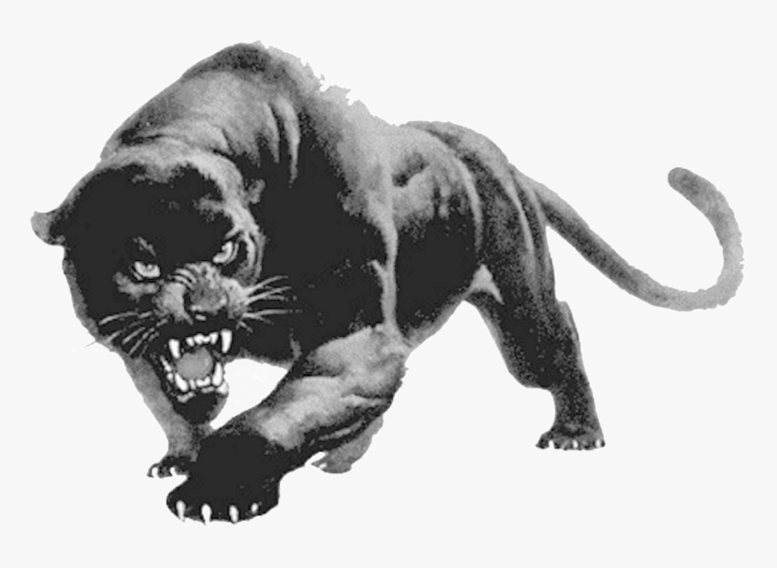 Panther-png, Transparent Png