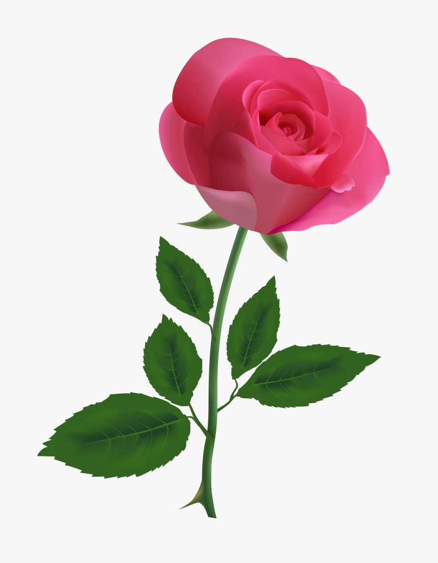 Free Clip Art Roses - Pink Rose Clipart, HD Png Download