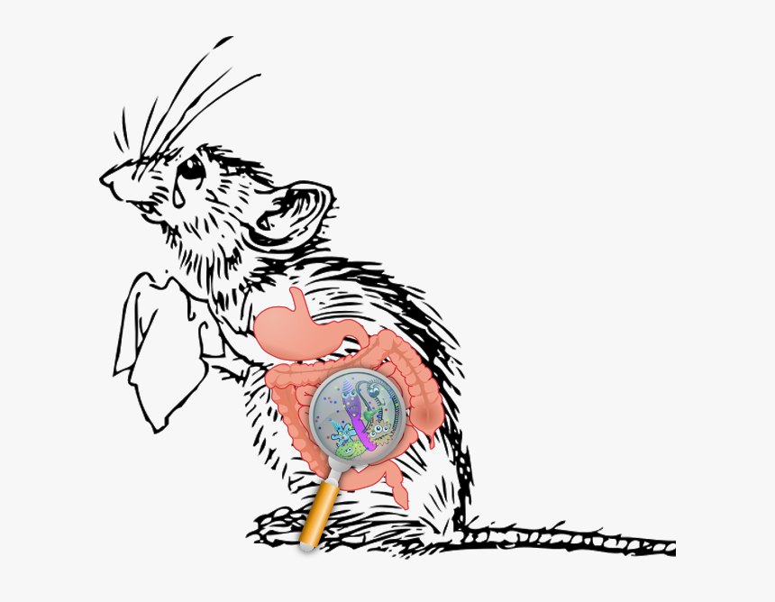 Mommy Why Do My - Sad Mice Clipart, HD Png Download