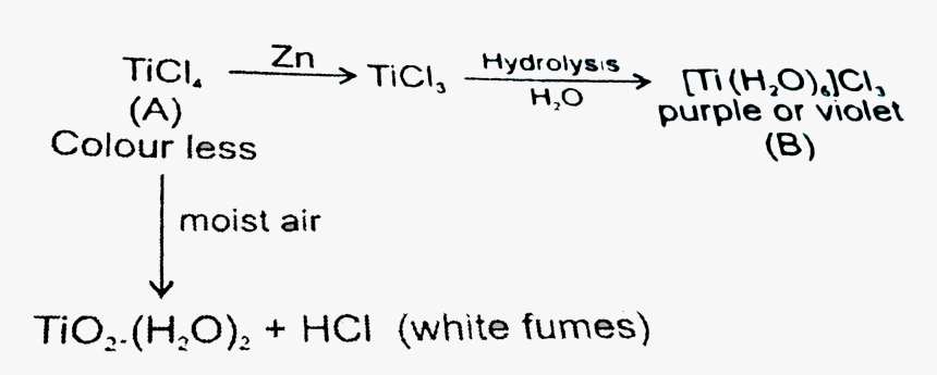 Document, HD Png Download