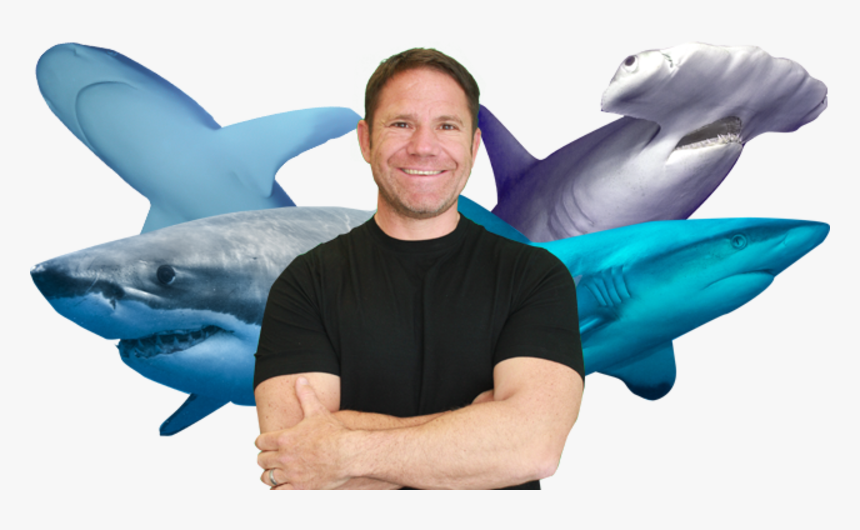 Tiger Shark, HD Png Download