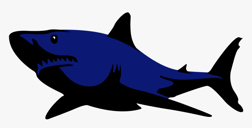 Transparent Background Shark Clipart, HD Png Download