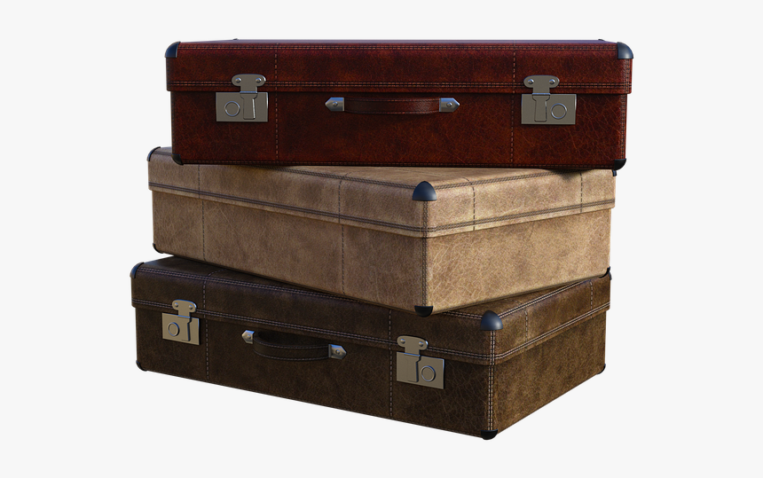 Trunk, HD Png Download