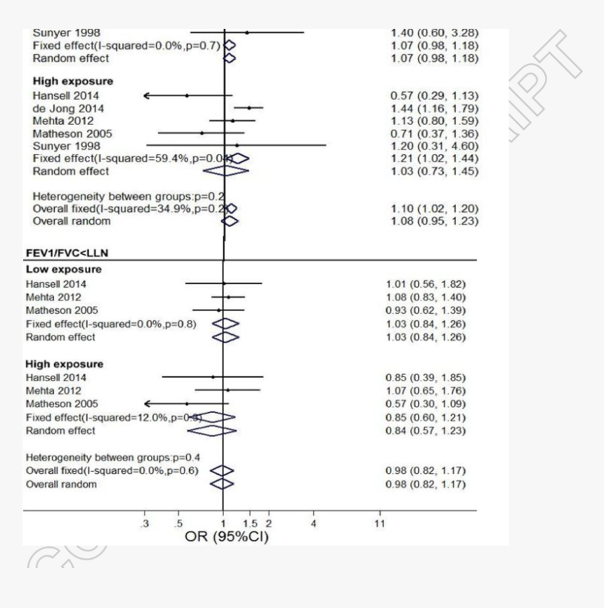 Document, HD Png Download