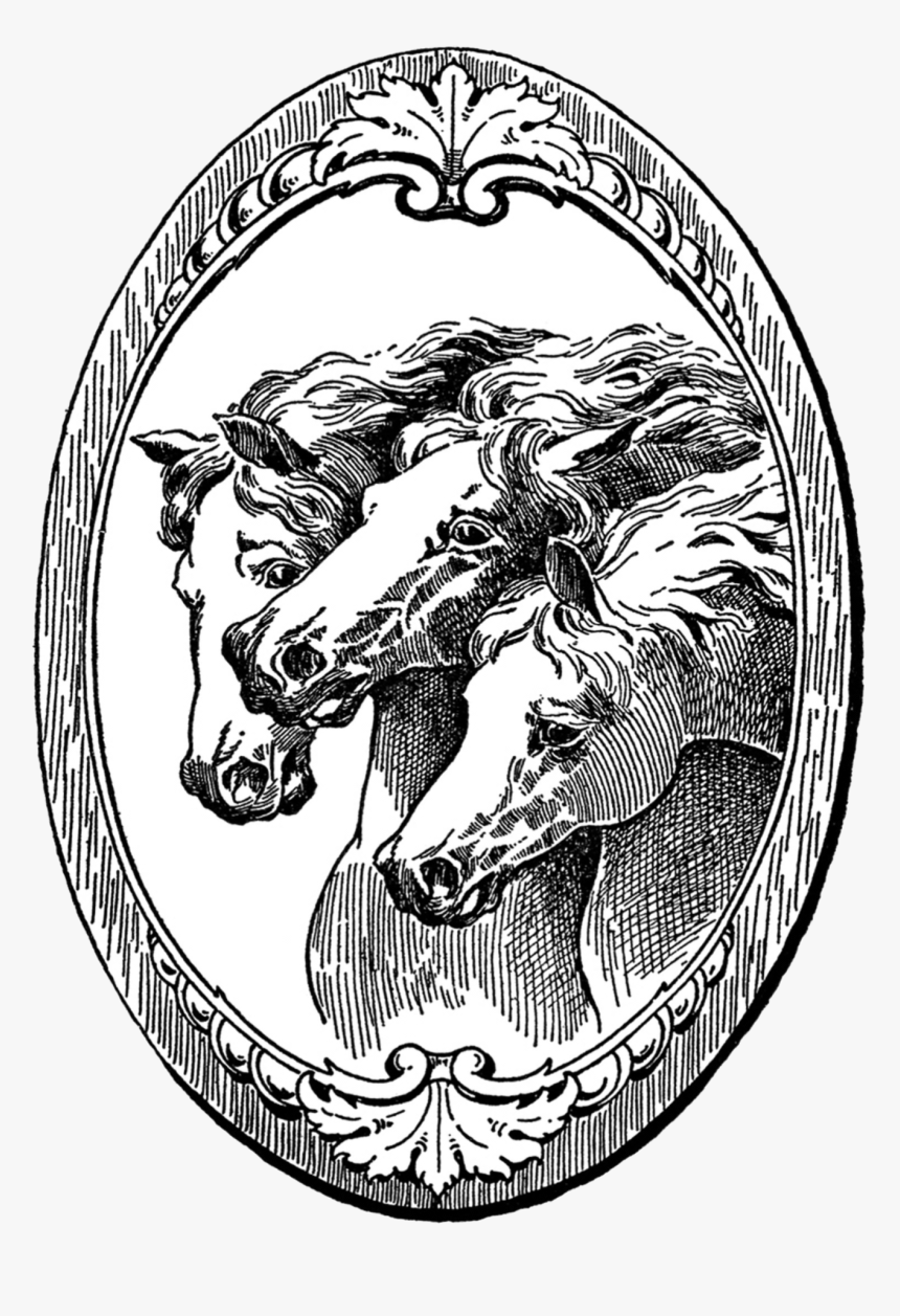 Vintage Horse Illustration, HD Png Download