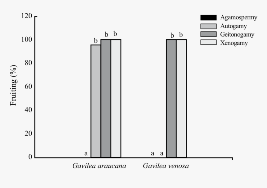 Number, HD Png Download