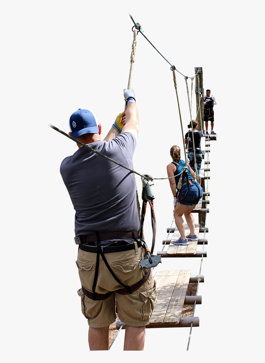 Team Building Orlando Zipline Tree Trek Adventure Park - Portable Network Graphics, HD Png Download