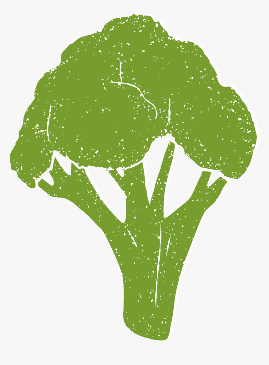 Broccoli , Png Download, Transparent Png