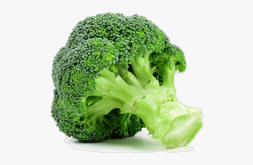 Broccoli, HD Png Download