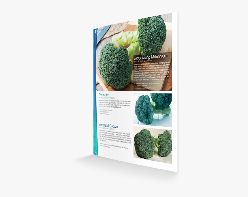 Broccoli, HD Png Download