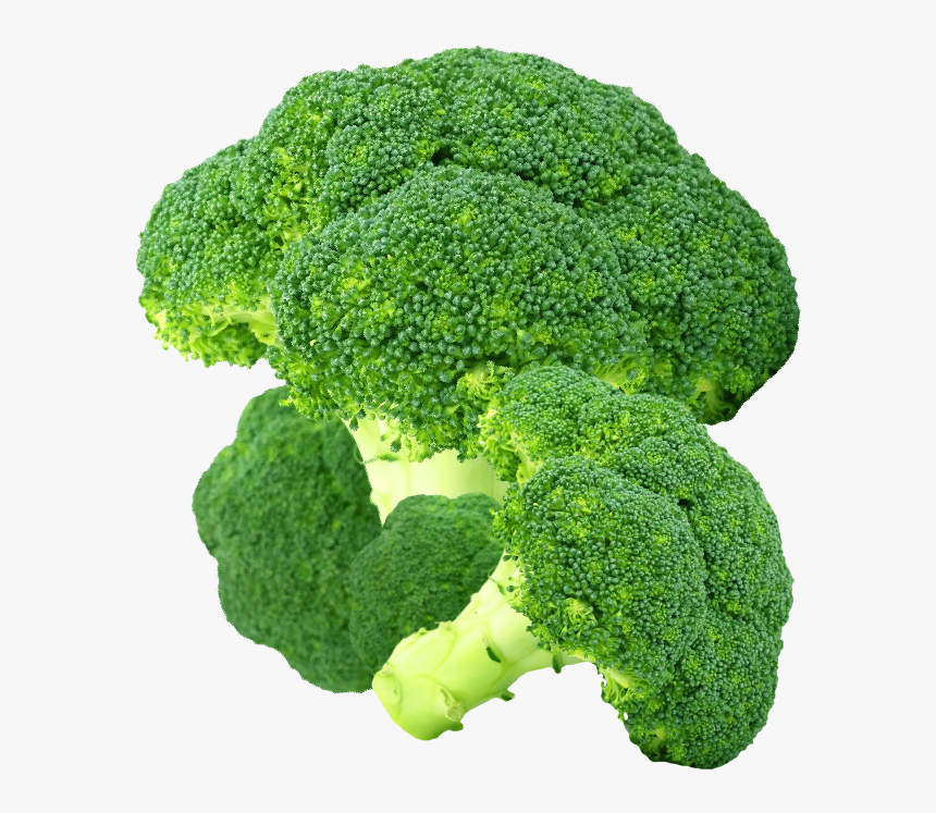 Product Image - Broccoli, HD Png Download