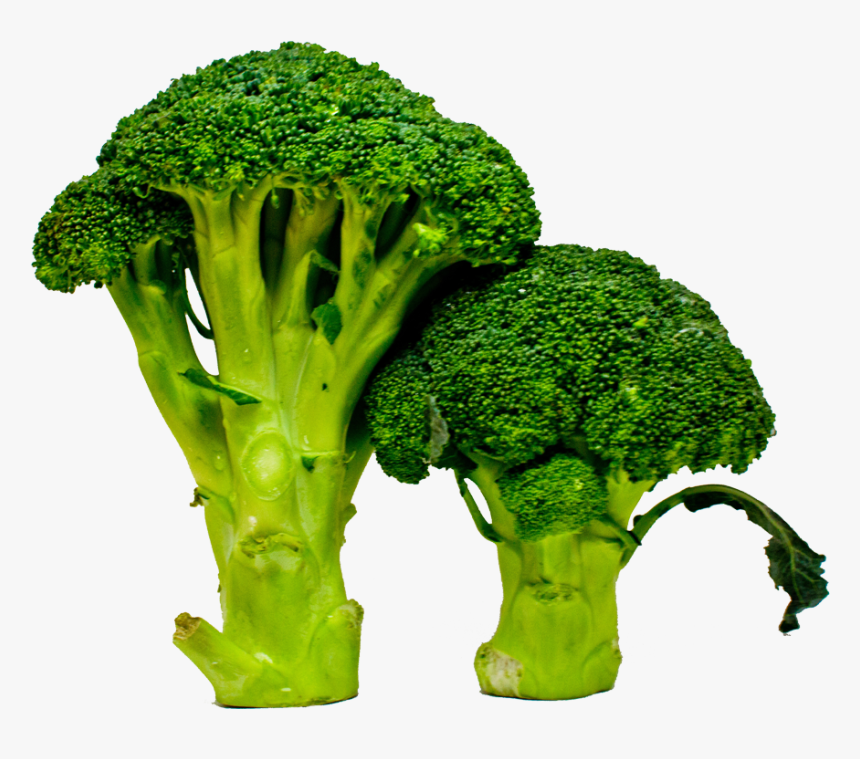 Broccoli, HD Png Download
