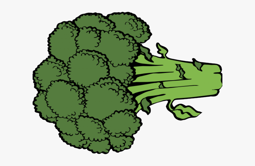 Broccoli Cliparts - Broccoli Clip Art, HD Png Download