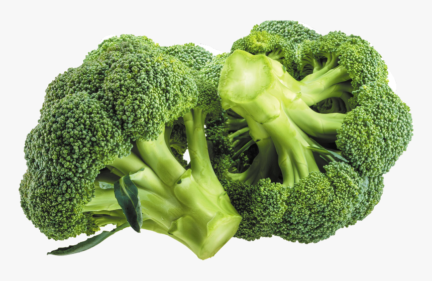 Broccoli Good For You, HD Png Download