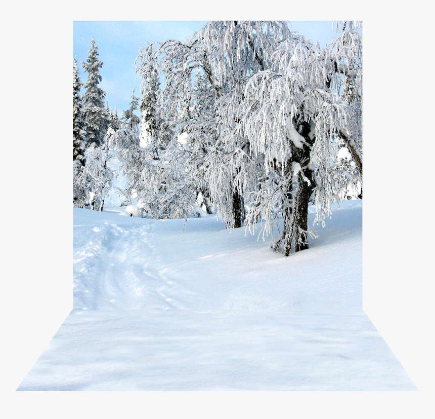 Transparent Snow Day Png - Snow, Png Download