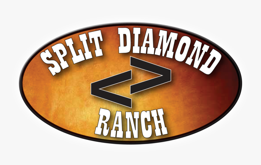 Orange, HD Png Download