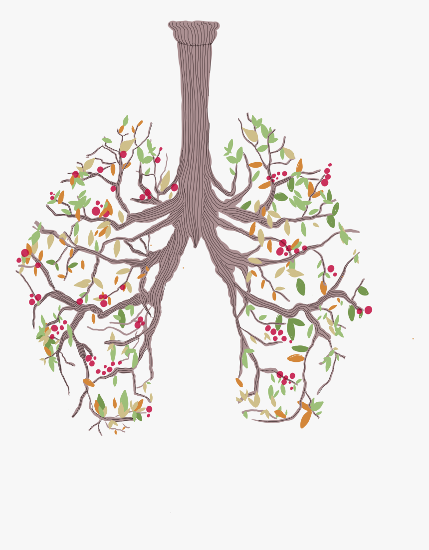 Breathe - Illustration, HD Png Download