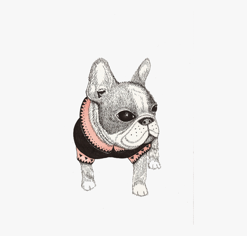 Decorative Animals Bulldog Boston Pug Painting Illustration - วาด การ์ตูน บ ลู ด๊ อก, HD Png Download
