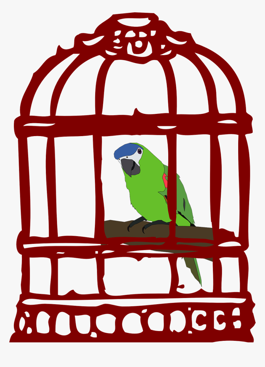 Parrot In The Cage, HD Png Download