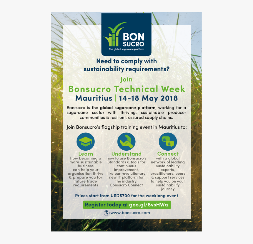 Kelp, HD Png Download