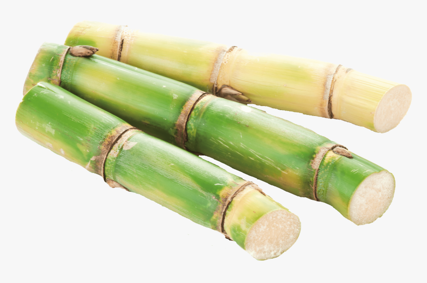 Acheter Canne A Sucre, HD Png Download
