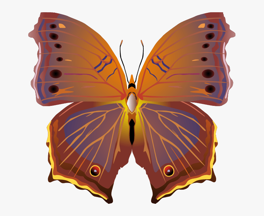 Butterfly Png Images Png - Vector, Transparent Png