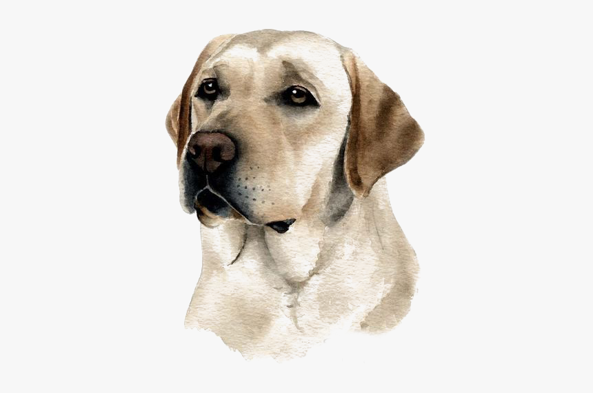 Clip Art Dog Watercolor - Dibujos De Perros Labradores, HD Png Download