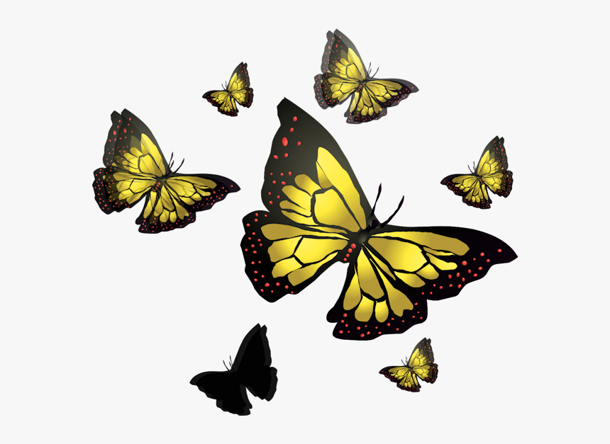 Vector Butterfly - Speckled Wood (butterfly, HD Png Download
