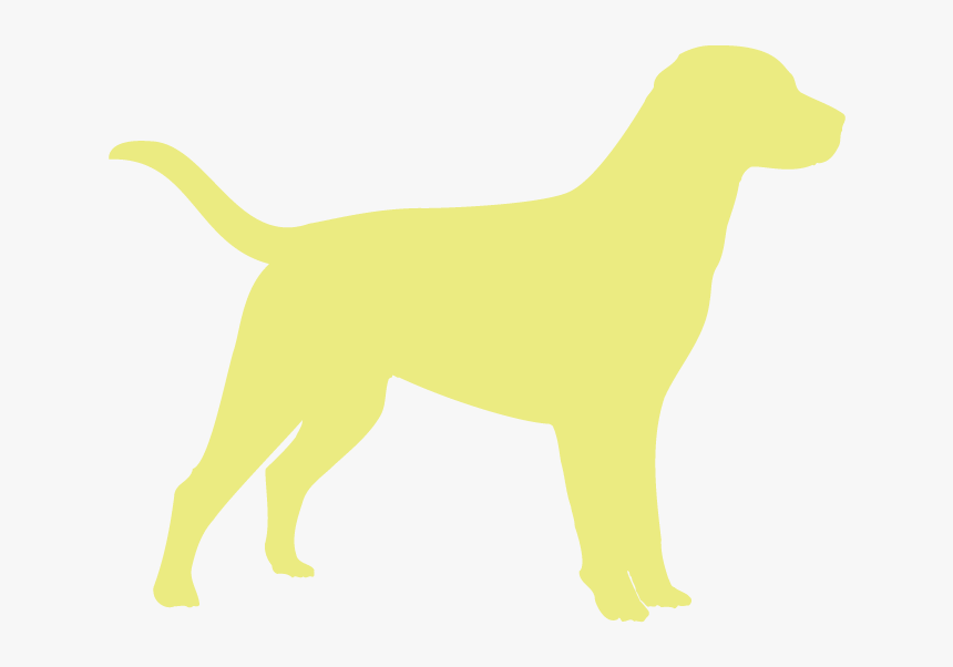 Dog Lover T Shirt Designs, HD Png Download