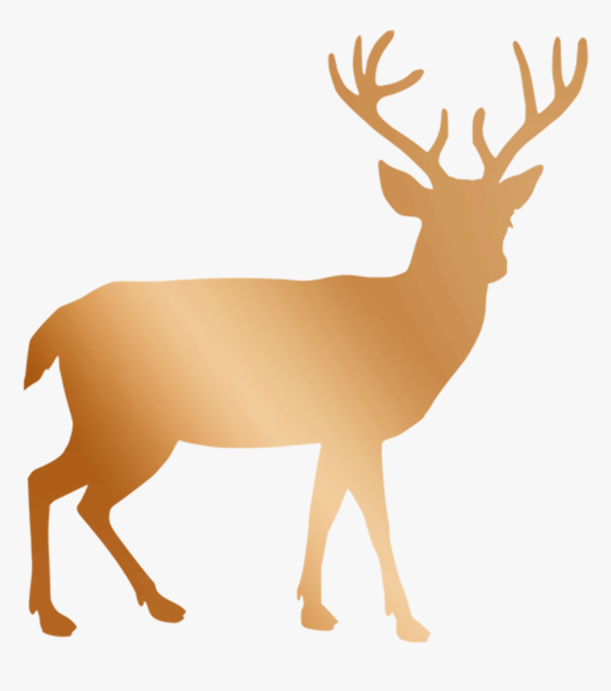 Black And White Deer Clipart, HD Png Download