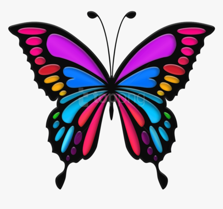 Butterfly Clipart Images - Colorful Butterfly Clipart, HD Png Download