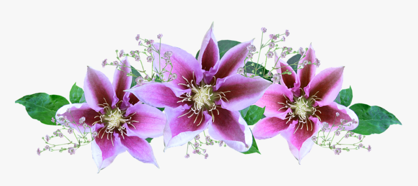 Flower, HD Png Download