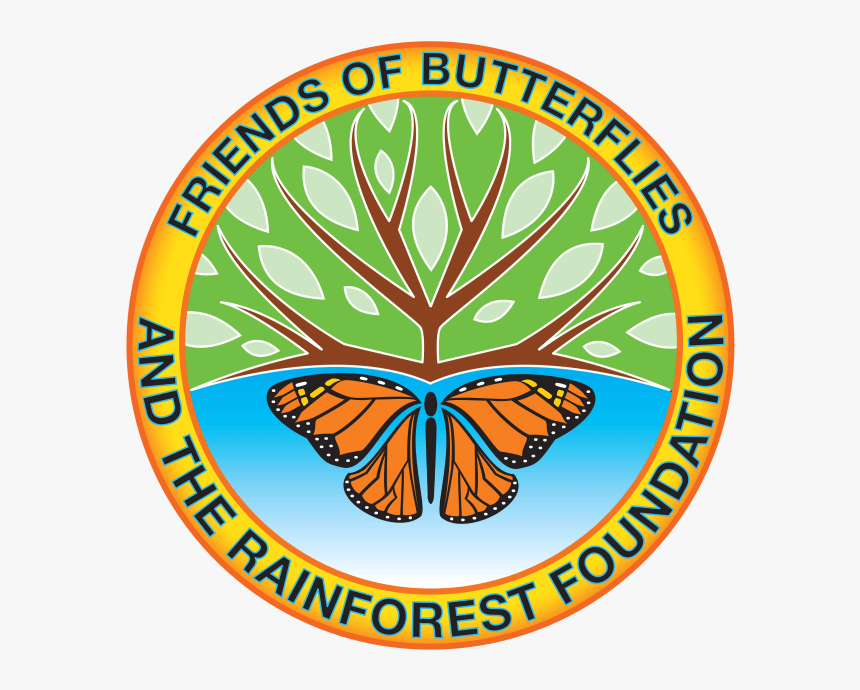 Brush-footed Butterfly, HD Png Download