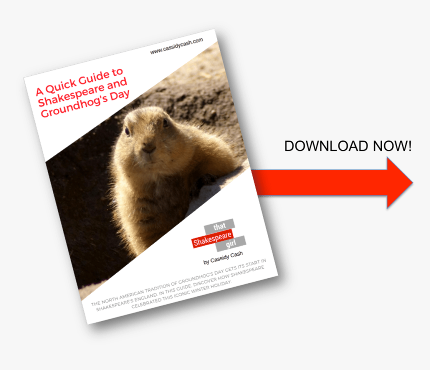 Punxsutawney Phil, HD Png Download