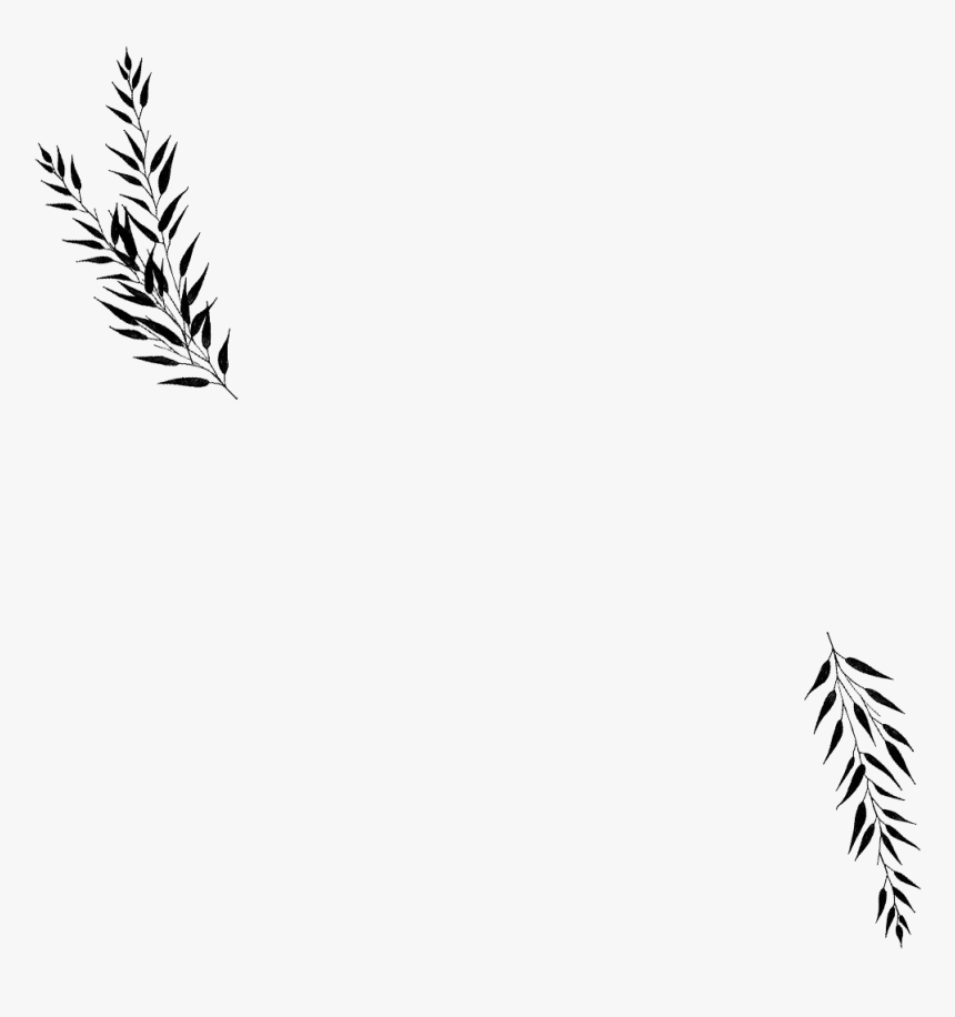 Black Wedding Leaves Png, Transparent Png