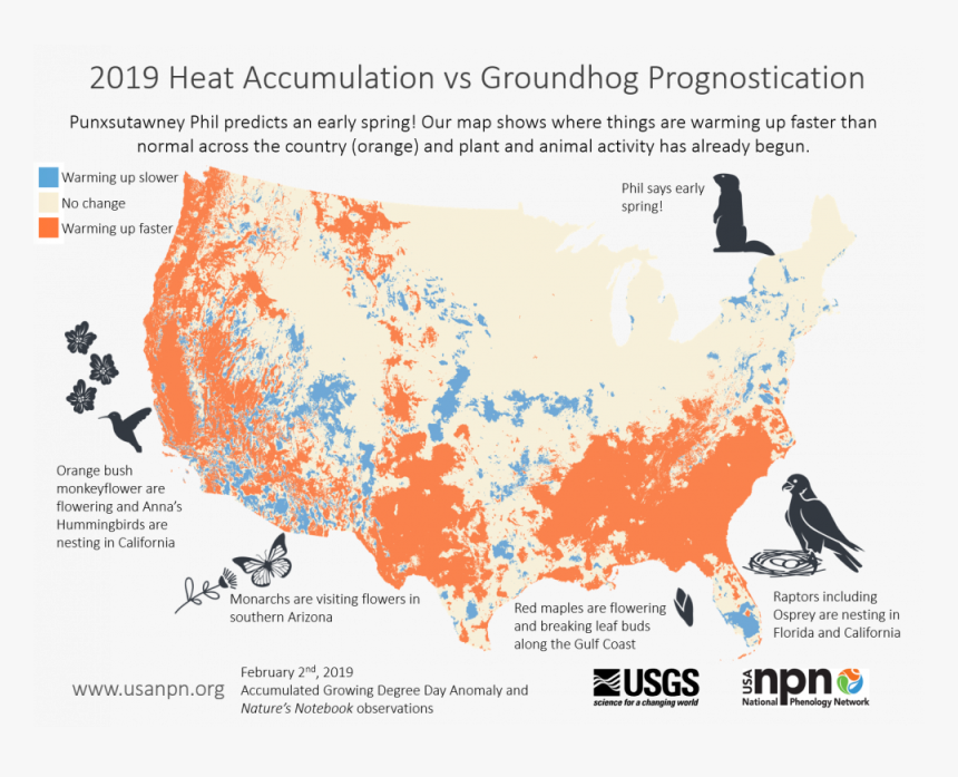2019 Heat Accumulation Vs Groundhog Prognostication - Spring Bloom Map 2019, HD Png Download