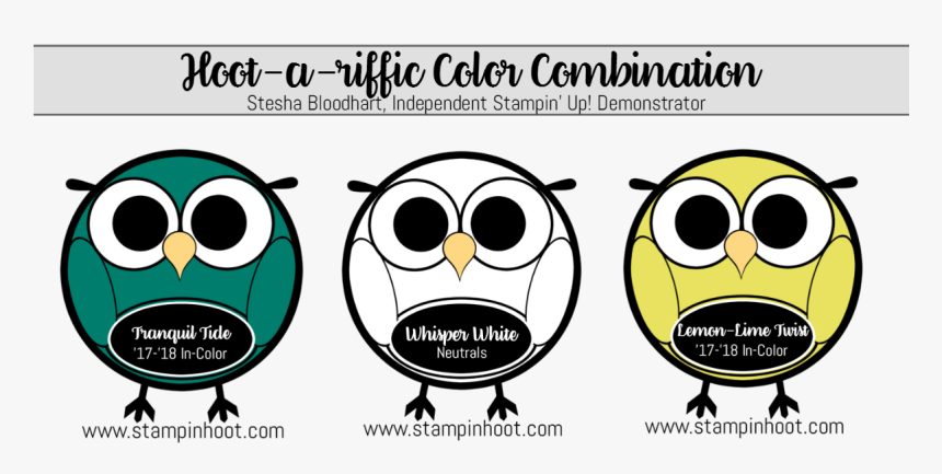 Hoot A Riffic Color Combinations Tranquil Tide, Whisper - Color Scheme, HD Png Download