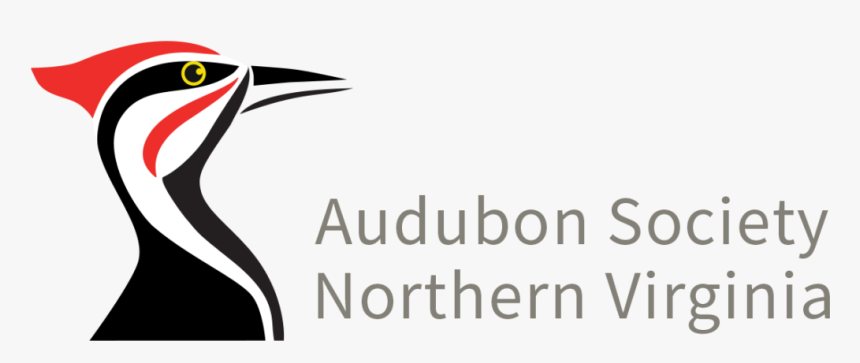 Audubon Society Of Northern Virginia, HD Png Download