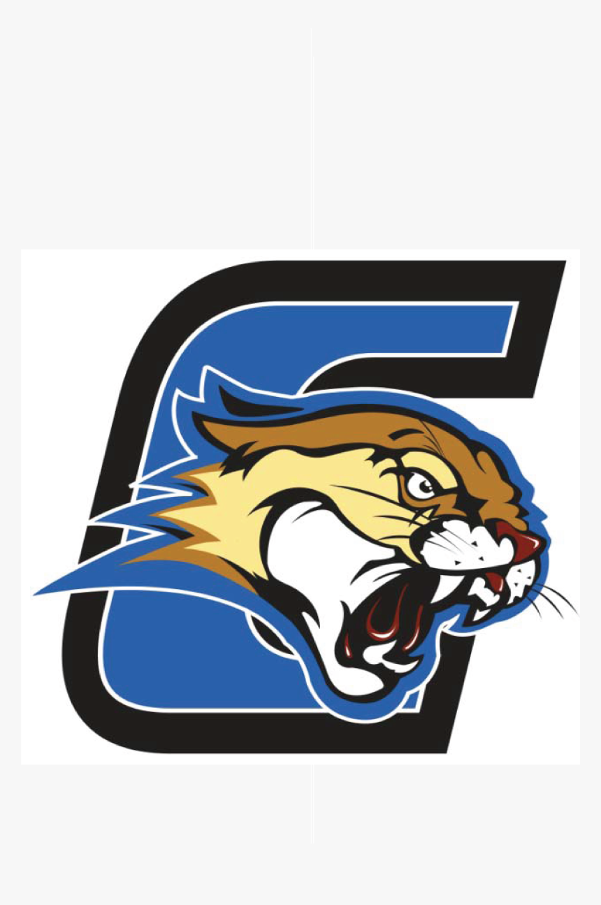 Transparent Texas Clipart Png - Irving Texas Crockett Cougar, Png Download