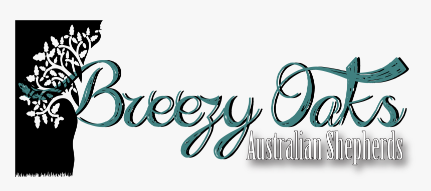 Calligraphy, HD Png Download