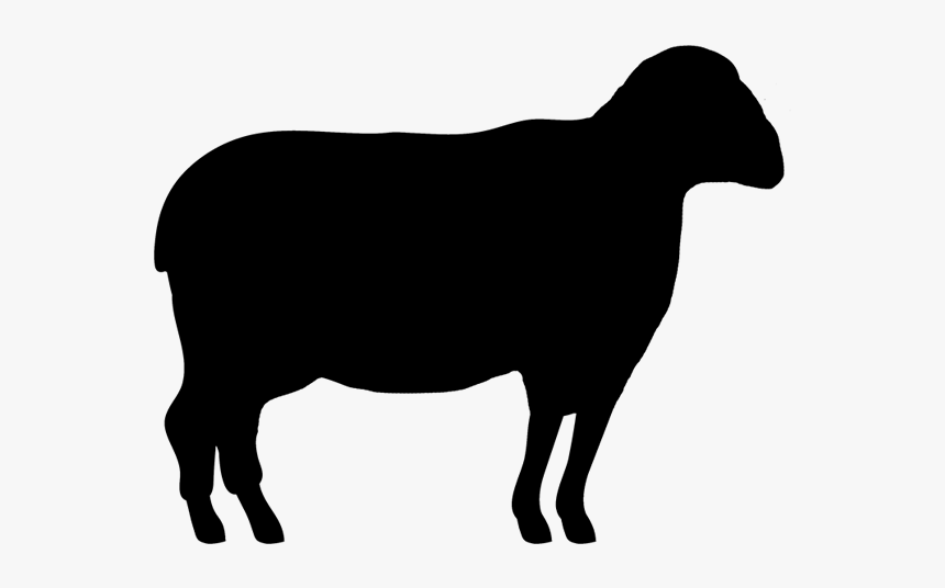 Clip Art Texas Longhorn Gyr Cattle Beef Cattle Highland - Vaca Silhueta Png, Transparent Png