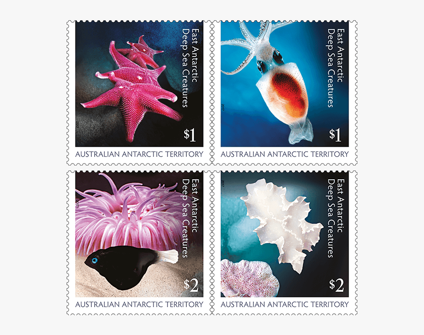 So Exotic And Even Mysterious East Antarctic Deep Sea, HD Png Download