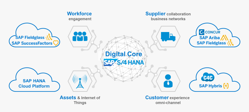 S4h4 1 - Sap S 4hana Ariba, HD Png Download