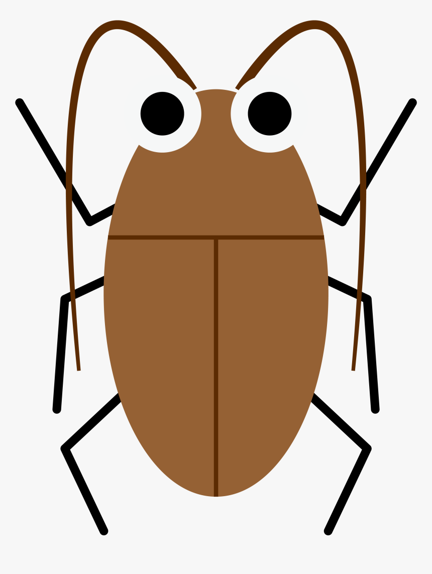 Now, You Can Beat Any Big Cockroaches With Those Powerful - Cockroach Shirt, HD Png Download