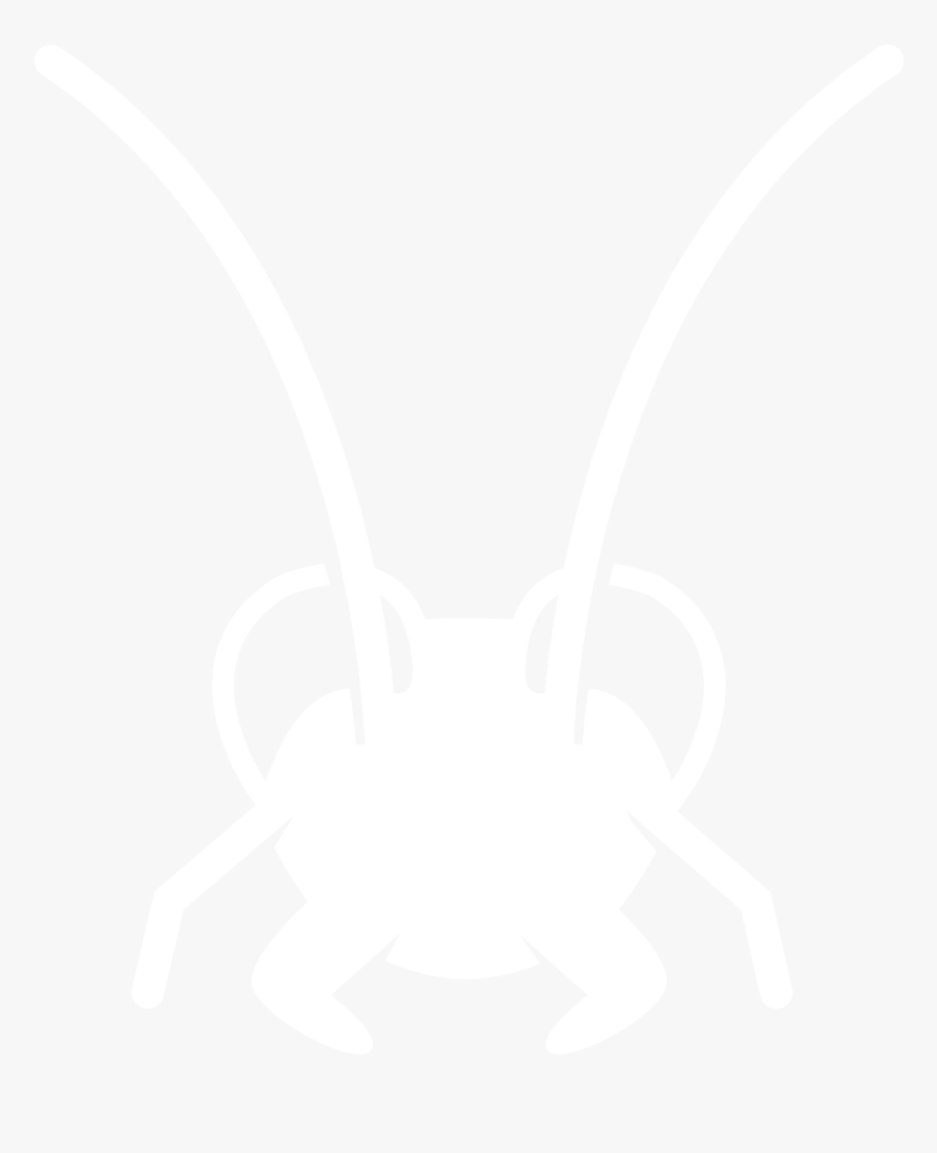 Oriental Cockroach - Insect, HD Png Download