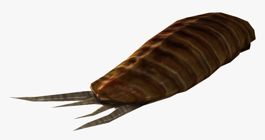 Nukapedia The Vault - Manduca Sexta, HD Png Download