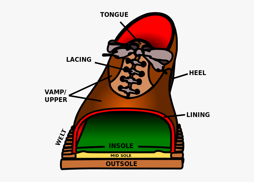 Shoe Parts En - Parts Of Orthopedic Shoe, HD Png Download
