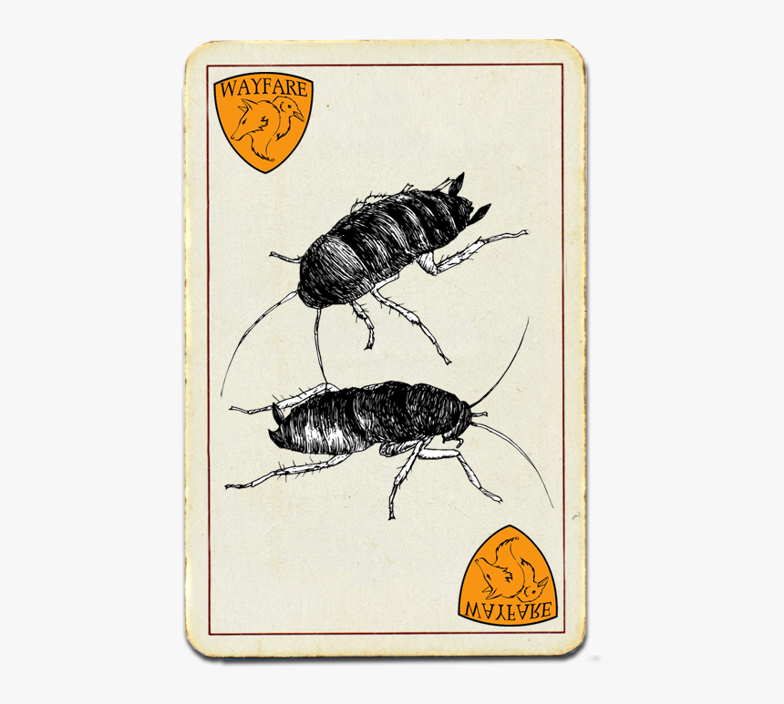 Wayfare Pest Solutions Most Wanted - Madagascar Hissing Cockroach, HD Png Download